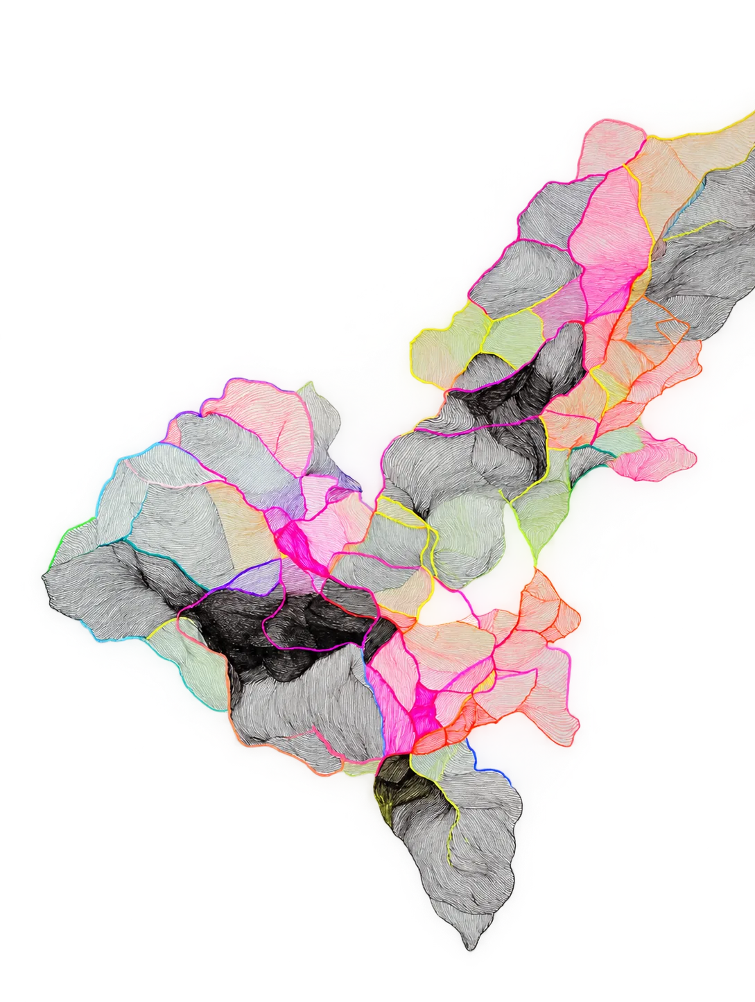 Abstract layered starfish-like network illustration
