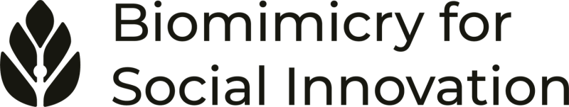 Biomimicry for Social Innovation